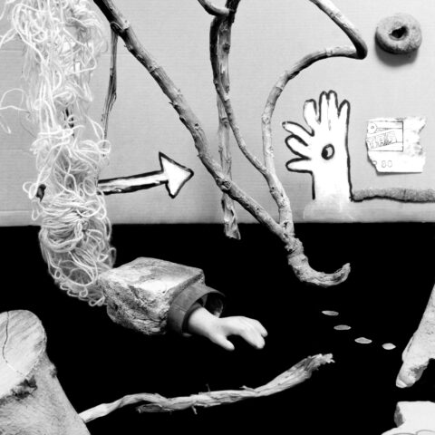 affordable fine art photography still life black and white