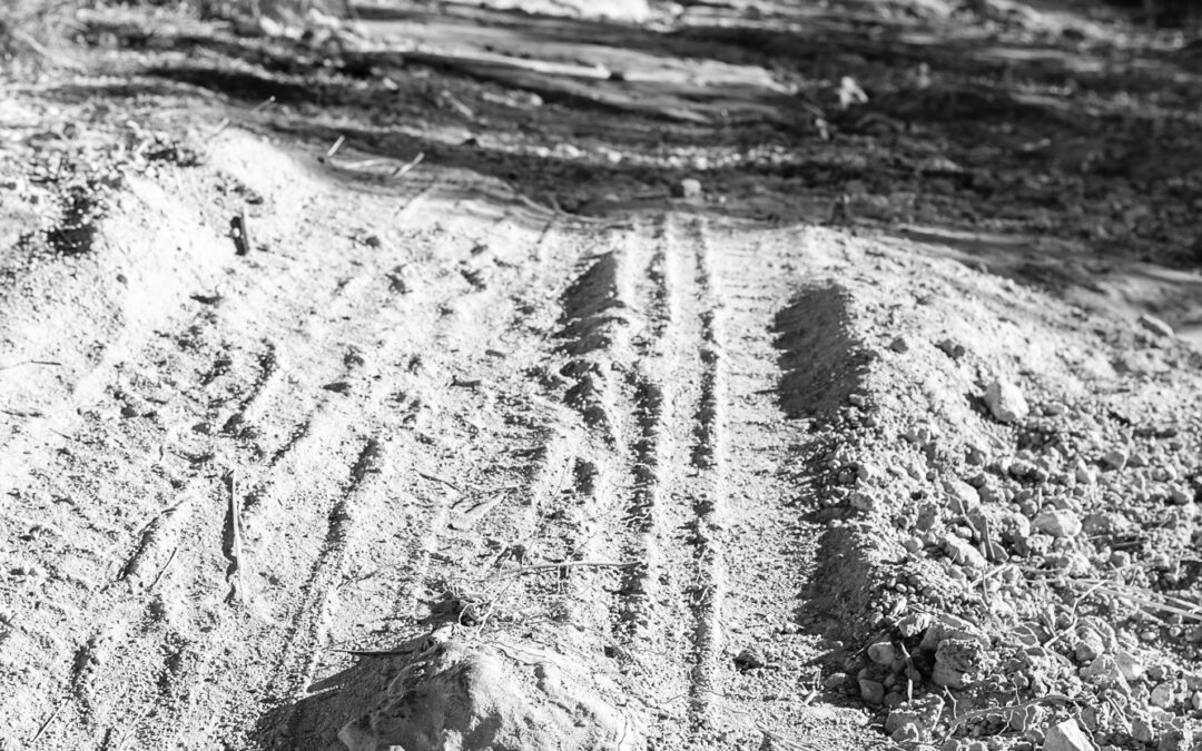 Dust tracks