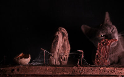 Still life with cat
